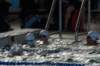 imgp3061_small.jpg