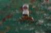 imgp3064_small.jpg