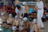 imgp3068_small.jpg