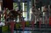 imgp2050_small.jpg