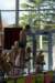 imgp2052_small.jpg
