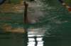 imgp2069_small.jpg