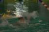 imgp2071_small.jpg