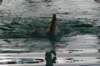 imgp2078_small.jpg