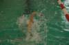 imgp2091_small.jpg
