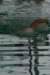 imgp2101_small.jpg