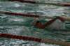 imgp2122_small.jpg