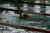 imgp2123_small.jpg