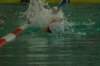 imgp2128_small.jpg