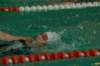 imgp2137_small.jpg