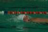 imgp2146_small.jpg