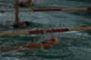 imgp2202_small.jpg