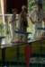 imgp2223_small.jpg