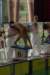 imgp2225_small.jpg