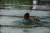 imgp2233_small.jpg