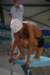 imgp1955_small.jpg