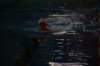 imgp1990_small.jpg