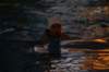 imgp1993_small.jpg