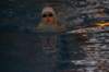 imgp2002_small.jpg