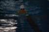 imgp2006_small.jpg